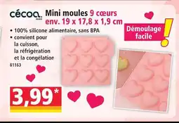 Norma Cécoa mini moules 9 cœurs offre