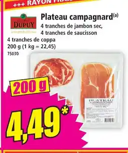 Norma Maison dupuy plateau campagnard offre