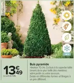 Carrefour Drive Buis pyramide offre