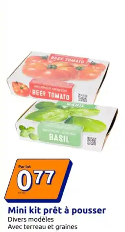 Action Mini kit prêt à pousser offre