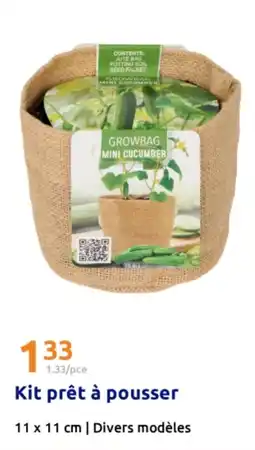 Action Kit prêt à pousser offre