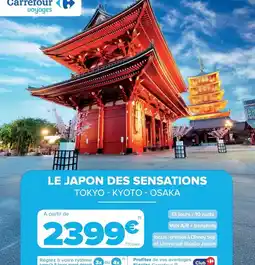 Carrefour Market Carrefour - le japon des sensations offre