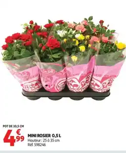 Auchan Mini rosier offre