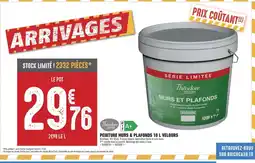 Brico Cash Peinture murs & plafonds velours acrylique. 10 l blanc. finition velours. application facile et sans trace. offre