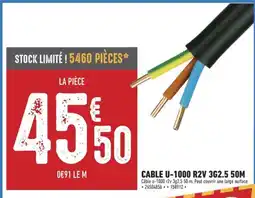 Brico Cash Cable u-1000 r2v 3g2.5 offre