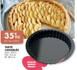 Guy Demarle Tarte cannelée offre