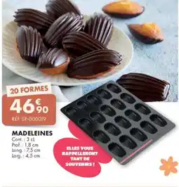 Guy Demarle Madeleines offre