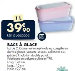 Guy Demarle Bacs à glace offre