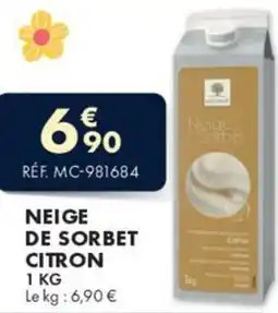 Guy Demarle Neige de sorbet citron offre
