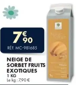 Guy Demarle Neige de sorbet fruits exotiques offre
