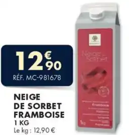 Guy Demarle Neige de sorbet framboise offre