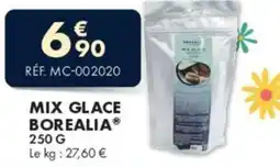 Guy Demarle Mix glace borealia offre