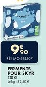 Guy Demarle Ferments pour skyr offre