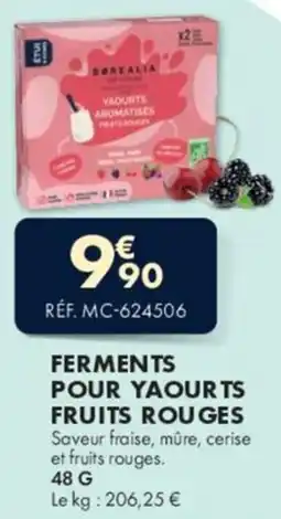 Guy Demarle Ferments pour yaourts fruits rouges offre