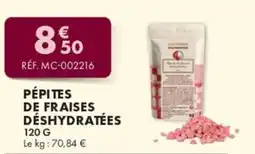 Guy Demarle Pépites de fraises déshydratées offre