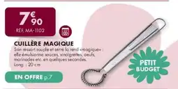 Guy Demarle Cuillère magique offre