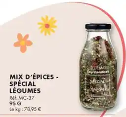 Guy Demarle Mix d'épices - spécial légumes offre