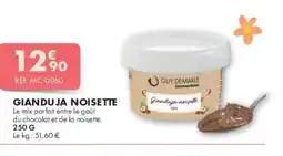 Guy Demarle Gianduja noisette offre