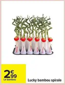 Carrefour Lucky bambou spirale offre