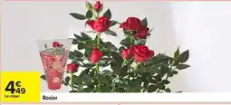 Carrefour Rosier offre