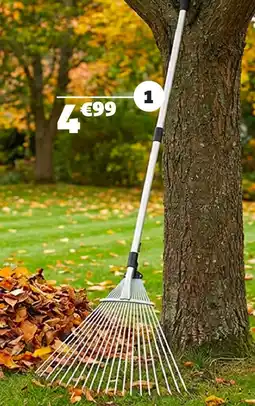 Gifi Ramasse-feuille télescopique offre
