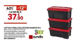 Leroy Merlin Sundis - lot de 3 malles locker offre