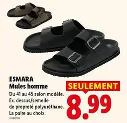 Leroy Merlin Fertiligène - terreau naturel sans tourbe offre