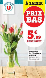 Super U Bouquet 12 tulipes u amour offre