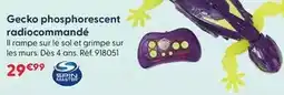 GiFi Doint eco- part offre