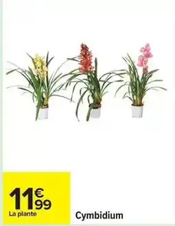 Carrefour Drive Cymbidium offre