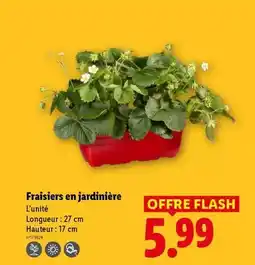 Carrefour Drive Atmosphera - kit moulure alber long 50 cm blanc offre