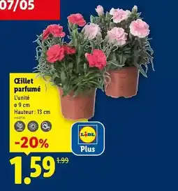 Carrefour Drive Pokemon - pokébox méga-dracufleu offre