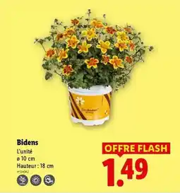Carrefour Drive Atmosphera - parmeau décoratif tasseux bois large cora offre