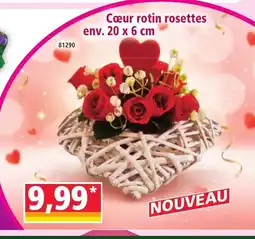 Norma Cœur rotin rosettes offre