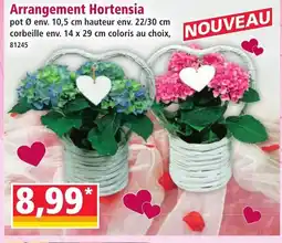Norma Arrangement Hortensia offre