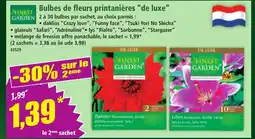 Norma FINEST GARDEN Bulbes de fleurs printanières de luxe offre