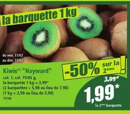 Norma Kiwis Hayward offre