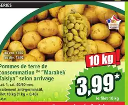 Norma Pommes de terre de consommation Marabel/ Taisiya selon arrivage offre