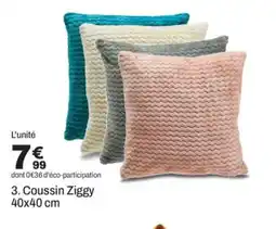 BUT Coussin Ziggy offre
