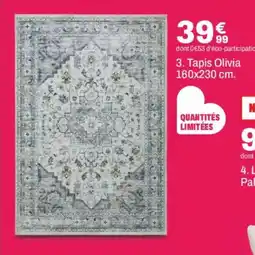 BUT Tapis Olivia offre