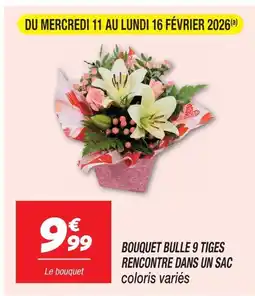 Netto Bouquet bulle 9 tiges offre