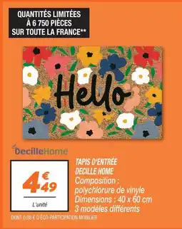 Netto Decille home tapis d'entrée offre