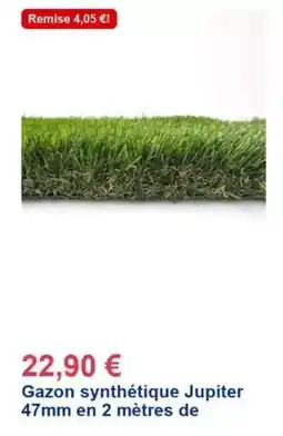 Décor Discount Gazon synthétique jupiter 47mm en 2 mètres de offre