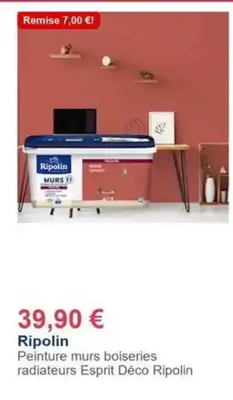 Décor Discount Ripolin - peinture murs boiseries radiateurs esprit déco offre
