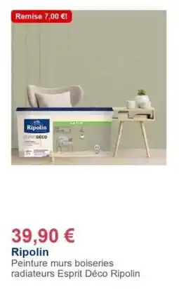 Décor Discount Ripolin - peinture murs boiseries radiateurs esprit déco offre