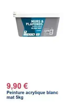 Décor Discount Peinture acrylique blanc mat offre
