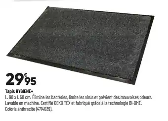 Bricorama Tapis hygiene+ offre