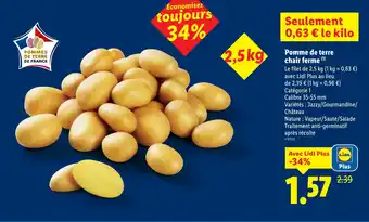 Pomme de terre chair ferme