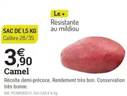 Espace emeraude Camel offre