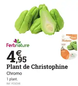 Espace emeraude FERTINATURE Plant de Christophine offre